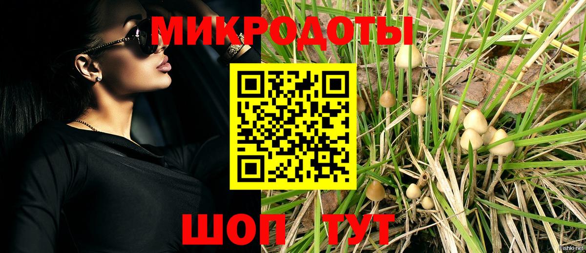 Галлюциногенные грибы MAGIC MUSHROOMS  что такое наркотик  Рубцовск  Псилоцибиновые грибы Magic Shrooms 